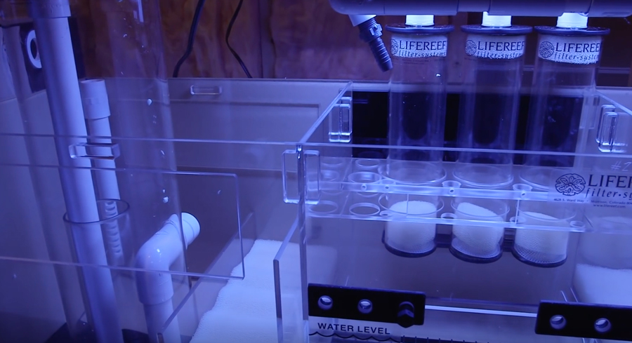 VIDEO: Sumps Are the Greatest Thing Ever