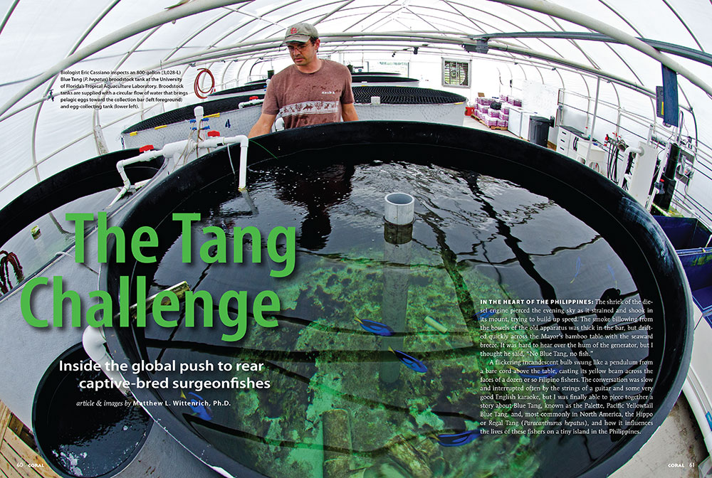 CORAL Retro Excerpt: The Tang Challenge