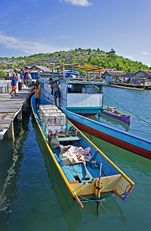 Fishing dock in the Banggai Islands where the Indonesian government has struggled to enforce fishery regulations. Image: Ret Talbot.