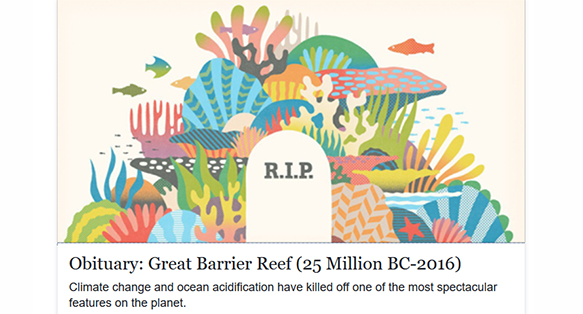“Not Dead Yet”: A Conservation Scientist’s Take on the World’s Reefs