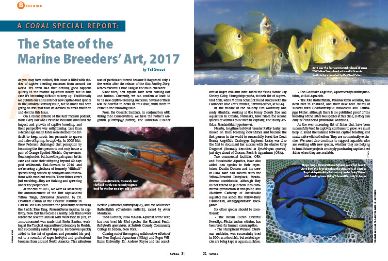 CORAL Magazine’s Captive-Bred Marine Fish Species List for 2017