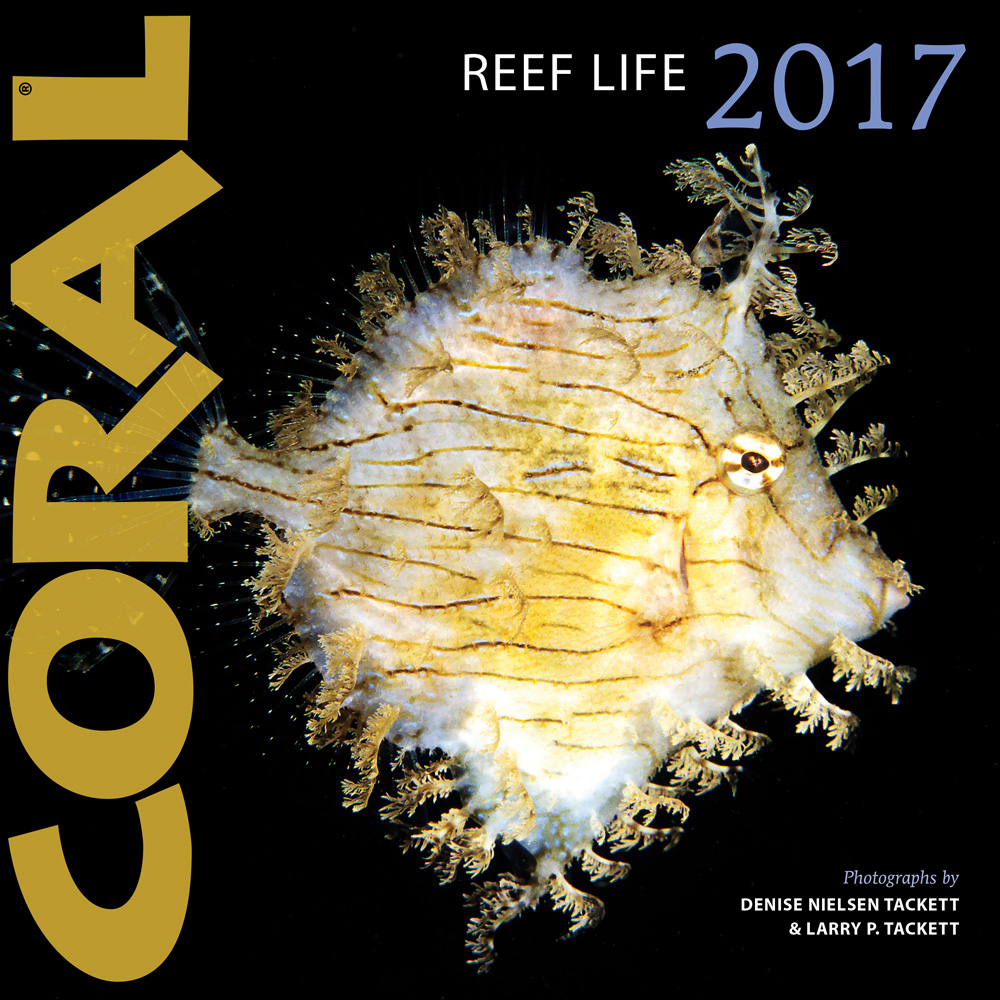 The 2017 Reef Life Calendar from CORAL Magazine is available now! Know this species? (See bottom of page for the identification.)