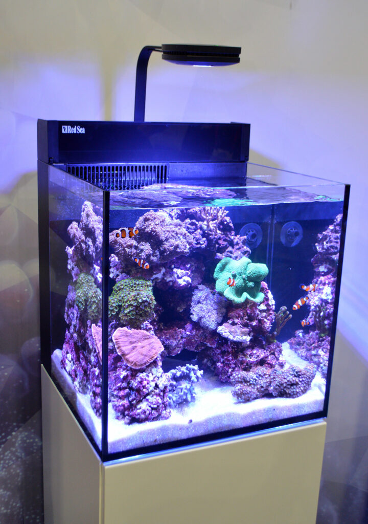 Red Sea's other small reef, this time on a white stand!