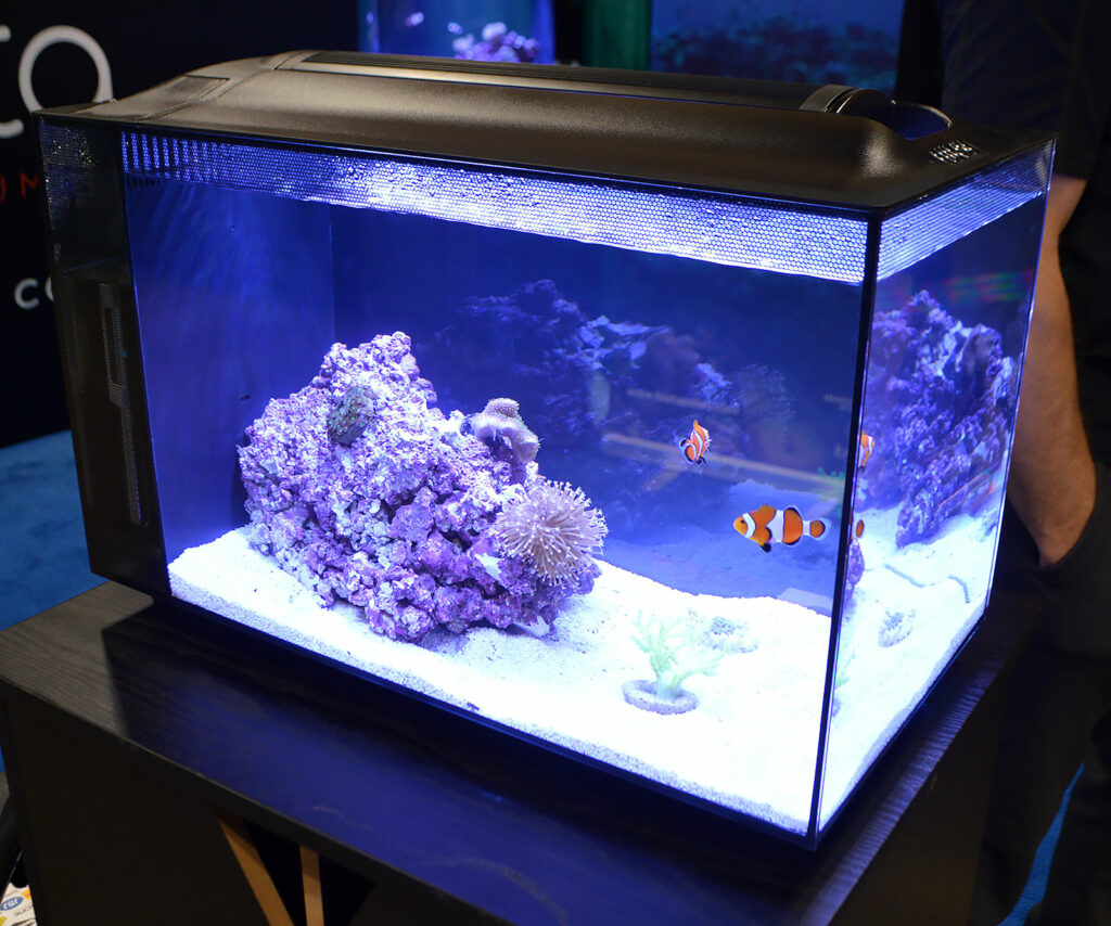 Biota Aquariums had several small tanks on display.