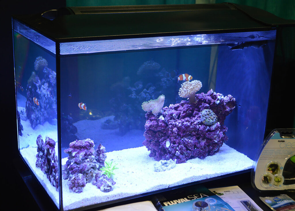 Another Biota Aquarium.