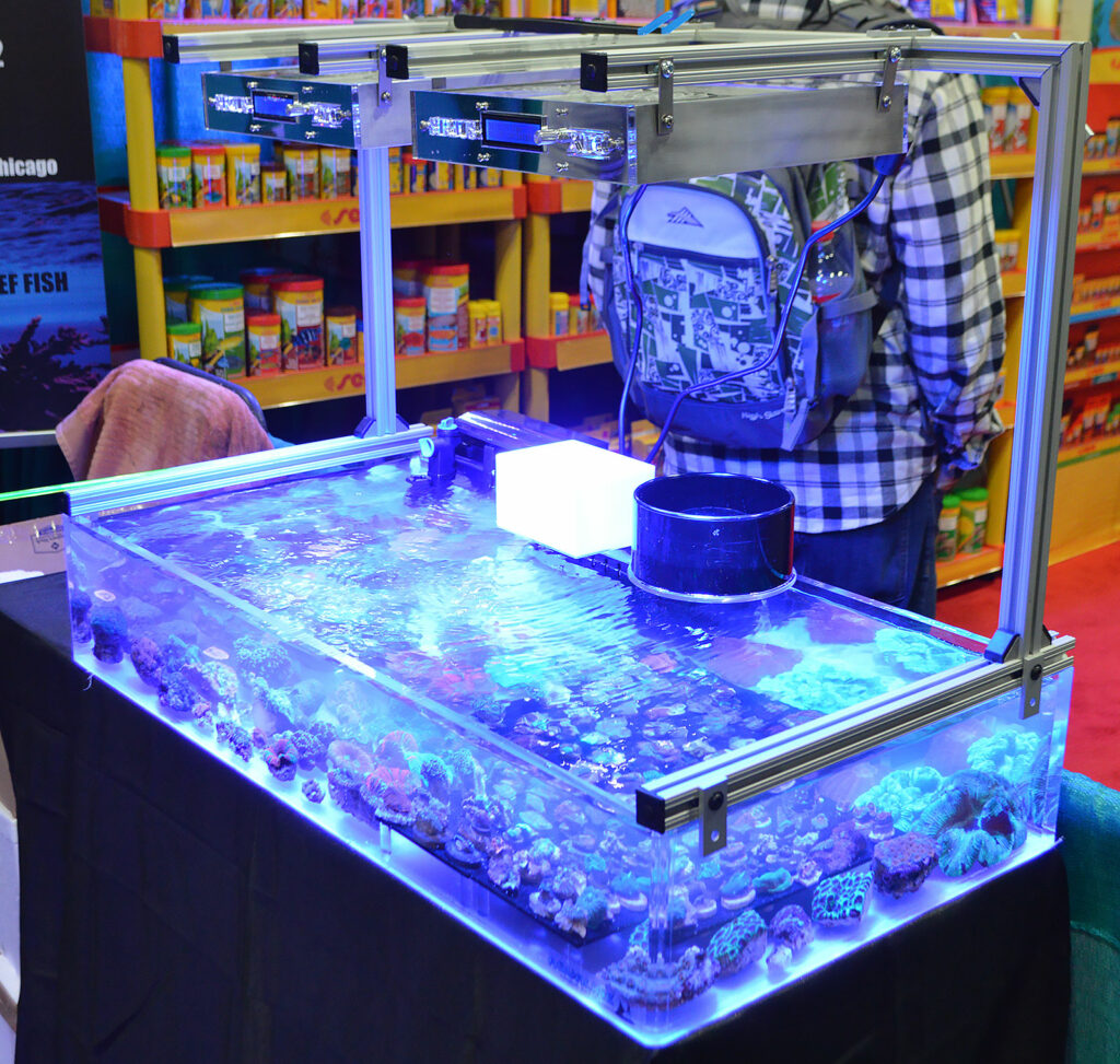 Corals being offered for sale by Reef Geeks Of Chicago.