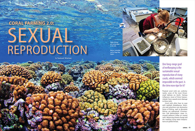 CORAL Magazine New Issue “REEF SPAWN” Inside Look