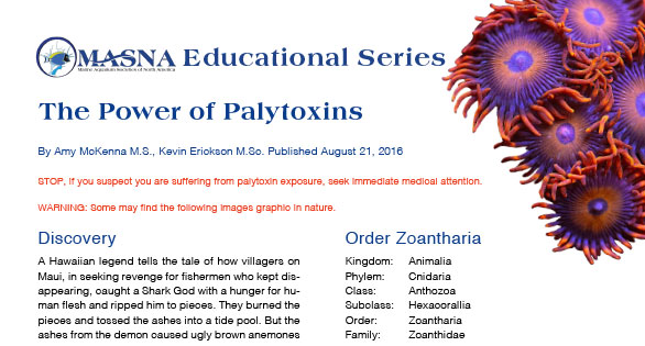 MASNA Educational Series Available As Printable Downloads
