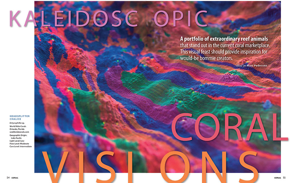 Our first opening spread of the column features this