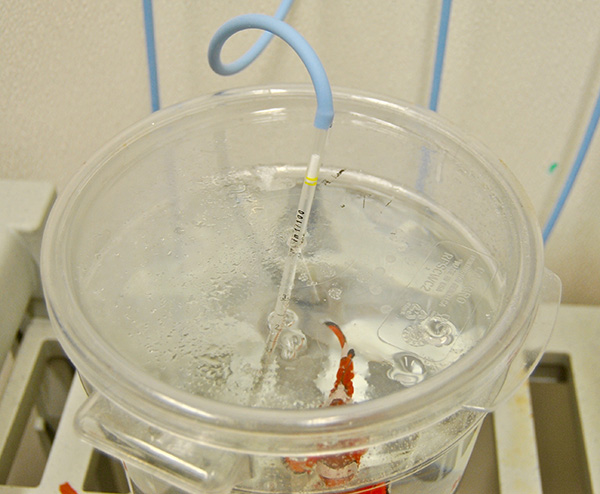 Aeration is provided via a pipette inserted into the cover of each bucket.