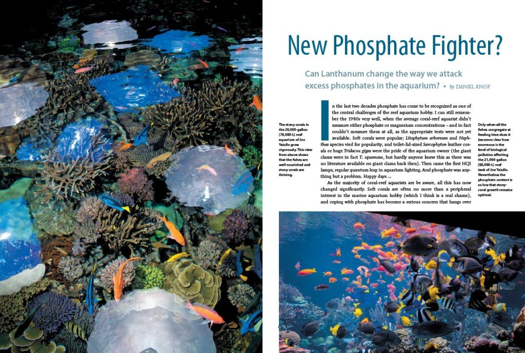 A New Phosphate Fighter? Can Lanthanum change the way we attack excess phosphates in the aquarium? Daniel Knop investigates...