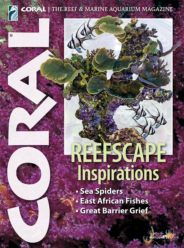 The cover of CORAL Magazine Volume 14, Issue 3 – REEFSCAPE INSPIRATIONS – May/June 2017