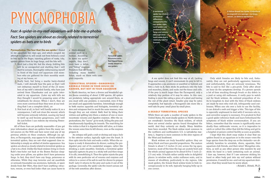 Pycnophobia: The fear that the sea spider I found in my aquarium two days ago, and which escaped my attempt to capture it, will sneak out from behind a coral to bite me in the finger, injecting gallons of nasty, icky, spidery poison from its huge fangs...learn more in the new issue of CORAL!