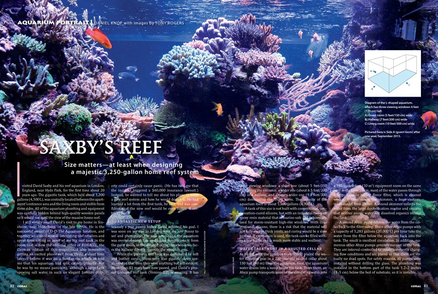 Size matters—at least when designing a majestic 3,250-gallon home reef system. Visit Saxby's Reef, the May/June 2017 Aquarium Portrait.