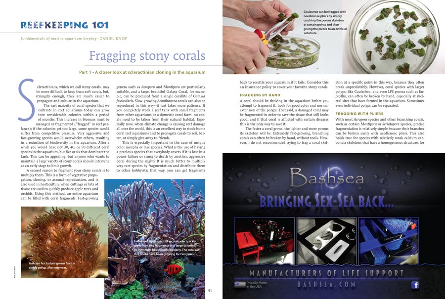 Reefkeeping 101 takes a current look at coral fragging and propagation for the beginning reef aquarist.