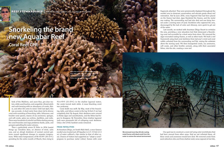 In the wake of a devastating bleaching event, with shallow-water Acropora now a rarity, Coral Reef CPR continues reef rebuilding in the Maldives. Learn more about snorkeling the brand new Aquabar Reef in the latest issue of CORAL.
