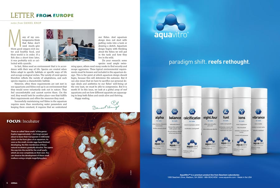 "Aquarium design does not start with putting rocks into a tank or drawing a sketch," writes Daniel Knop in his Letter from Europe. "Aquarium design begins with thinking about the fishes we will put in the tank and how they live in the wild." Learn more in the new issue.