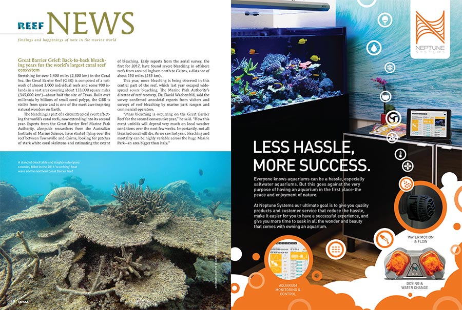 Great Barrier Grief: Back-to-back bleaching years for the world’s largest coral reef ecosystem. Learn more in the new issue.