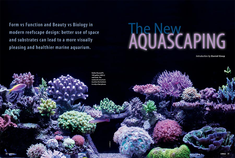 Form vs Function and Beauty vs Biology in modern reefscape design: better use of space and substrates can lead to a more visually pleasing and healthier marine aquarium. CORAL International Editor Daniel Knop introduces our cover feature series.