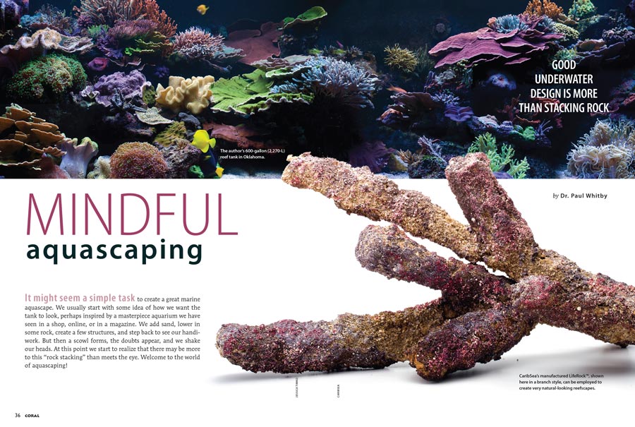 First time CORAL contributor Dr. Paul Whitby is well known on the aquarium lecture circuit for his expertise in reef aquascaping. Now, we bring his insights to the world in his debut article, Mindful Aquascaping.