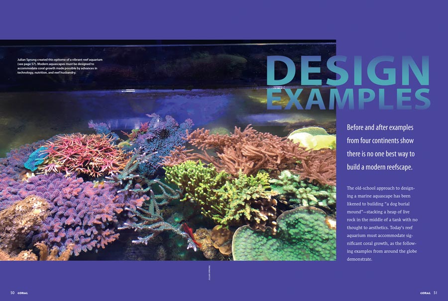 Dive into our special report, DESIGN EXAMPLES: Before and after examples from four continents show there is no one best way to build a modern reefscape. Exclusively in the May/June 2017 issue of CORAL Magazine.