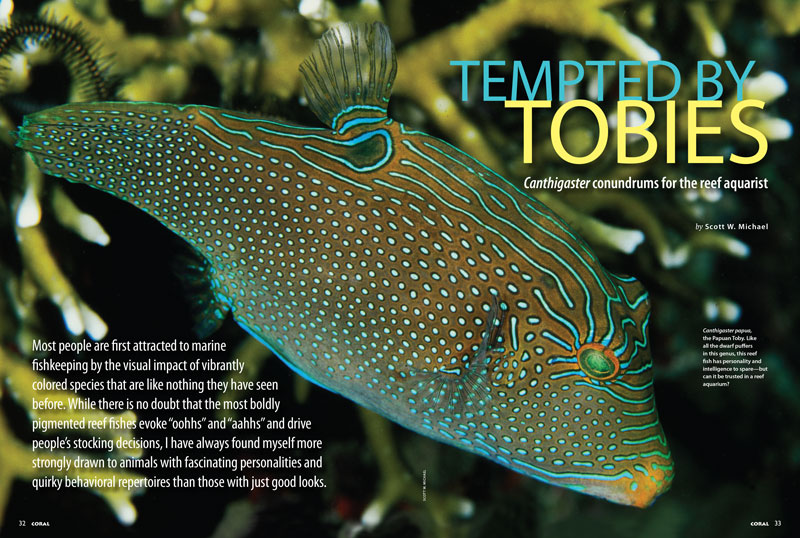CORAL Magazine New Issue “REEF PUFFERS” Inside Look