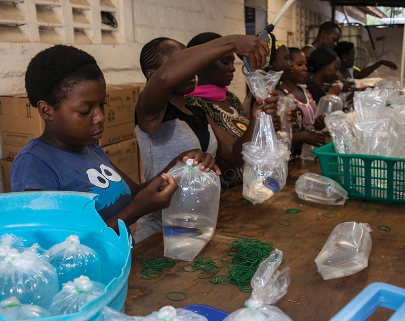 In the final stage of the process, fishes are packed for export to wholesalers and importers around the world. This packing crew is bagging Kenya’s unique “Yellow Belly” color form of the popular Blue Tang (Paracanthurus hepatus) for a shipment.