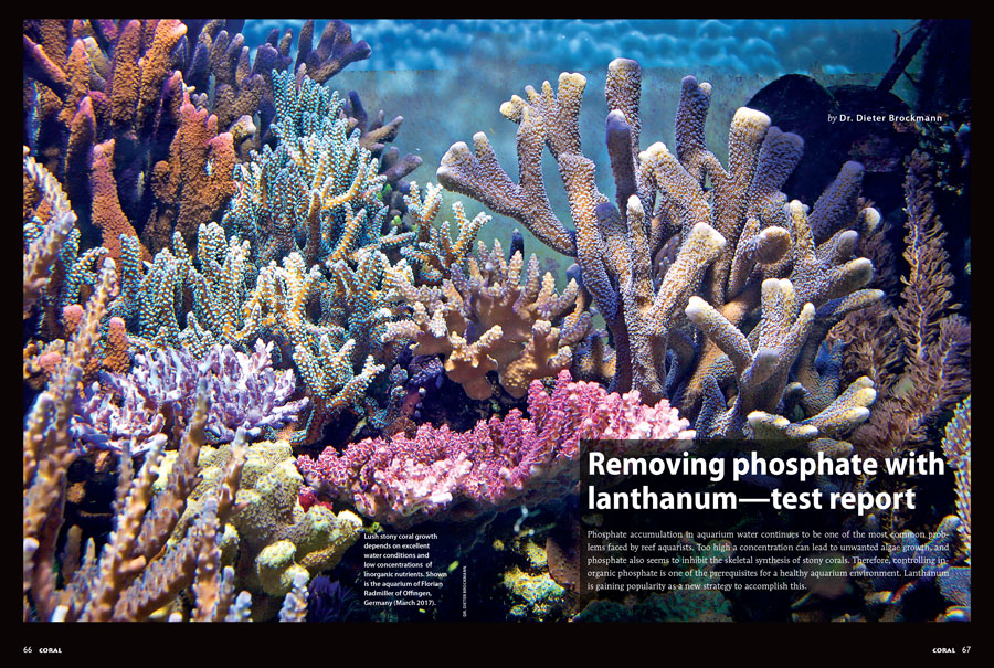 Controlling inorganic phosphate is one of the prerequisites for a healthy aquarium environment. Lanthanum is gaining popularity as a new strategy to accomplish this. Learn more when you read "Removing phosphate with lanthanum—test report", by Dr. Dieter Brockmann.