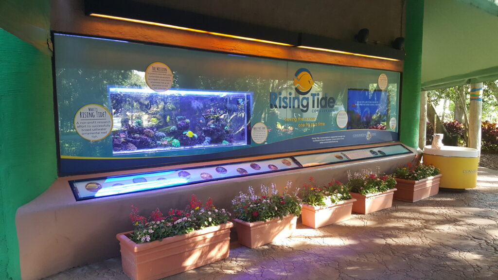 The Rising Tide Reef Aquarium at Busch Gardens in Tampa was unscathed by Hurricane Irma. Image Credit: Busch Gardens