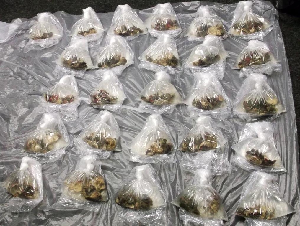 Bags of Ricordea polyps shippped by Sanchez. Seized from FedEx in San Jauan. Image credit: US DOJ