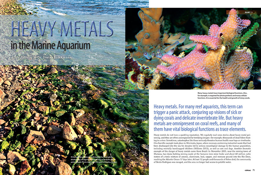 "Heavy metals," writes Dr. Dieter Brockmann. "For many reef aquarists, this term can trigger a panic attack, conjuring up visions of sick or dying corals and delicate invertebrate life. But heavy metals are omnipresent on coral reefs, and many of them have vital biological functions as trace elements."