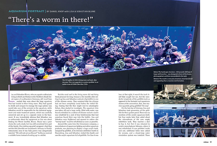For this issue's Aquarium Portrait, we revisit the home of Lisa and Sebastian Blume, first featured in the Nov/Dec 2015 issue of CORAL, who've upgraded to a 555 gallon reef aquarium.