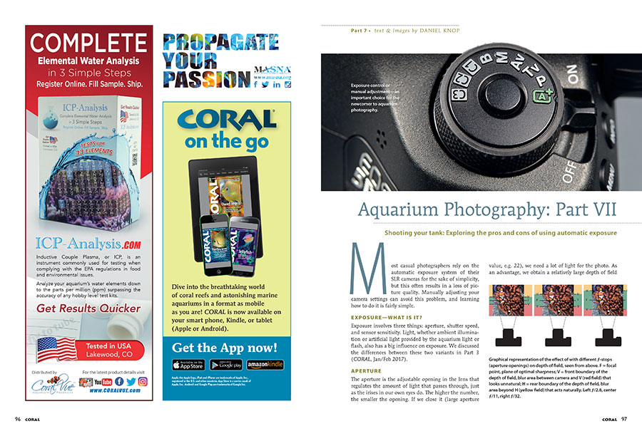 Daniel Knop's ongoing series on Aquarium Photography continues with a look at the pros and cons of using automatic exposure.