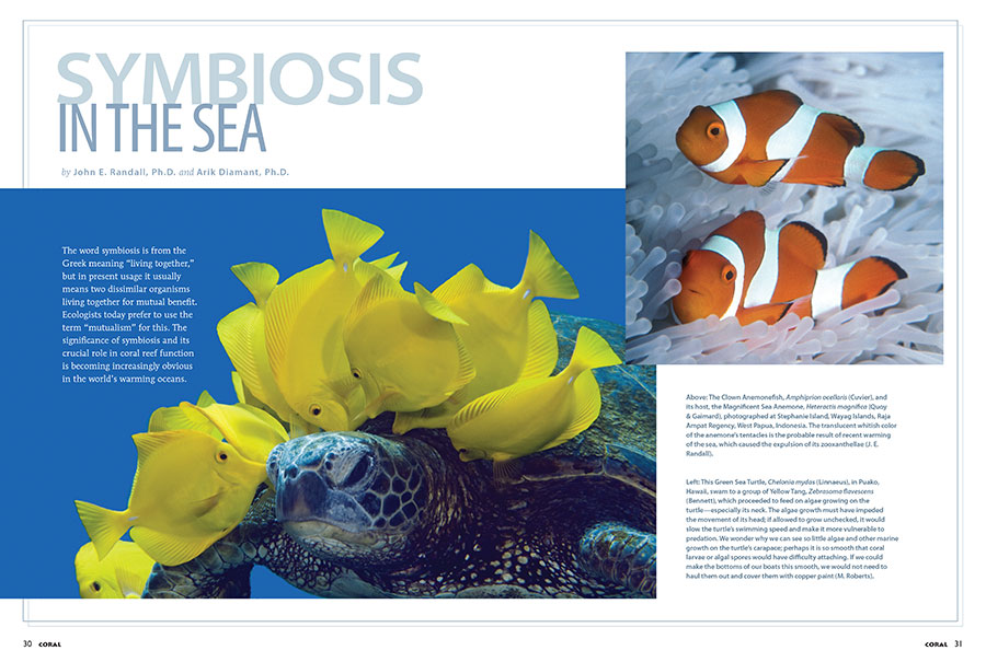 Drs. Jack Randall and Arik Diamant examine the need for reef conservation through an exclusive-to-CORAL adapted version of their recent paper, "Examples of symbiosis in tropical marine fishes."