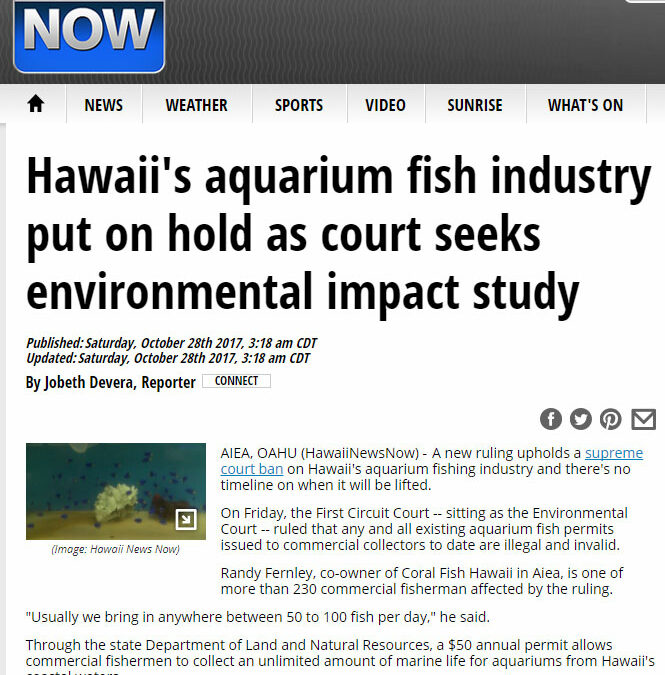 Breaking: Hawaii’s Aquarium Fishery Closed, Permits Invalidated