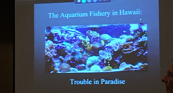 The Aquarium Fishery in Hawaii - Trouble in Paradise. A presentation shown at the recent State of the Aquatic Industry Legislative Update at the 2017 Aquatic Experience Chicago.