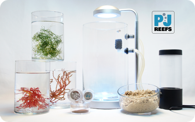 The PJ Reefs 2.0 Deluxe Mini Seahorse Aquarium comes with equipment and more.