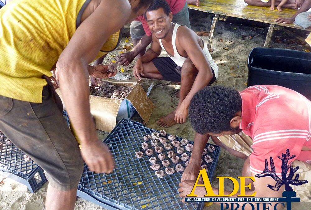 New Funding for ADE Project from WAMAS