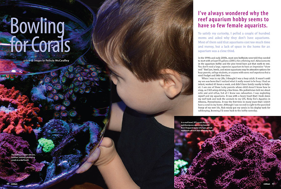 CORAL Magazine New Issue “MICRO REEFS” Inside Look