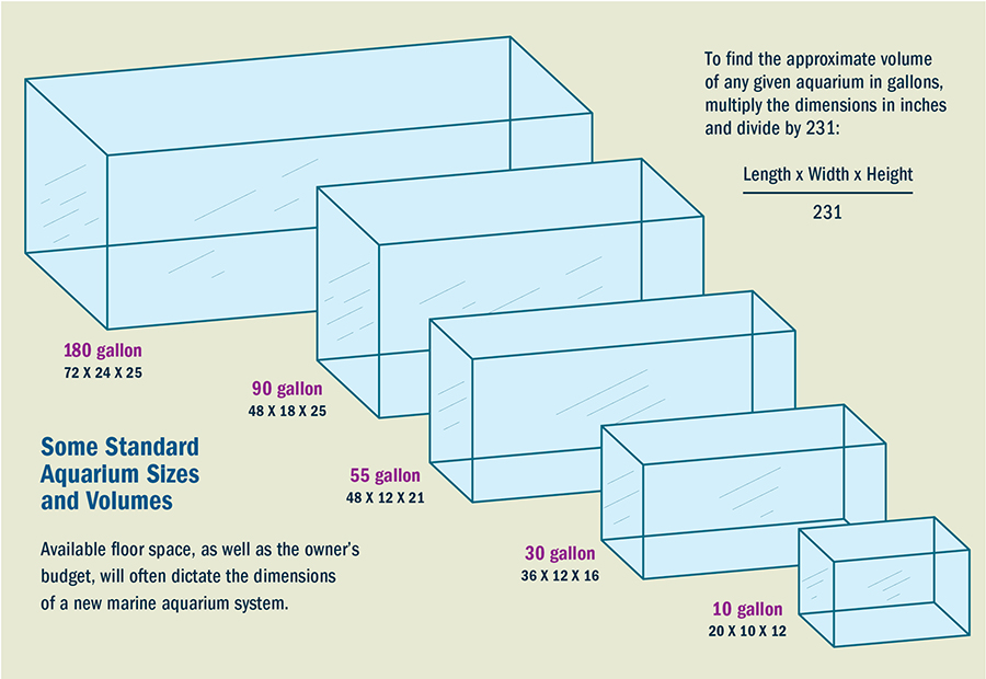 Aquarium Sizes CORAL Magazine