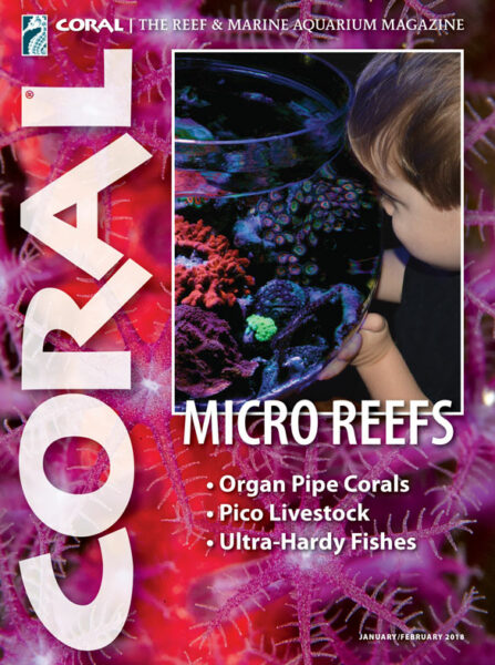 Click cover to order this back issue for your CORAL collection.