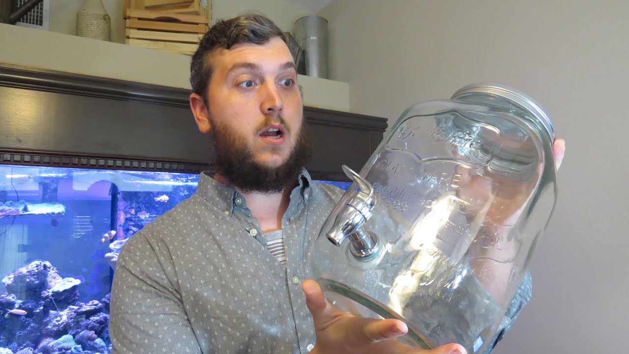 YouTuber Joey Jones of TheCoralReefTalk went all in on a mason jar reef in 2016. But things maybe haven't gone quite as planned...