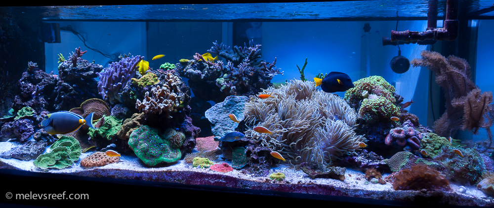 An updated view of the reef, taken mid-January, 2018.