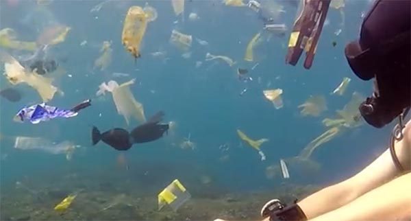 Rich Horner documents a plastic soup in Bali, Indonesia.