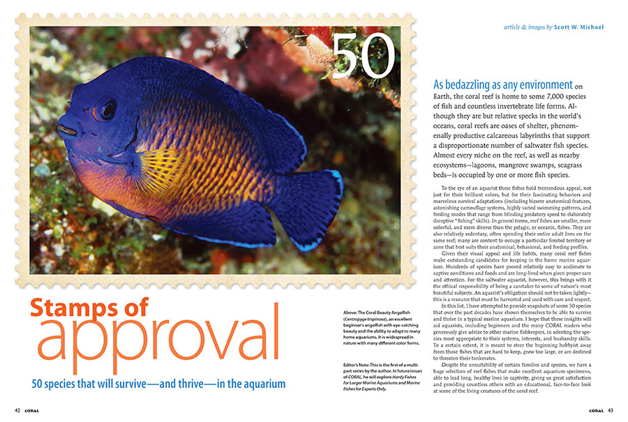 CORAL Magazine New Issue “ULTRA-HARDY FISHES” Inside Look