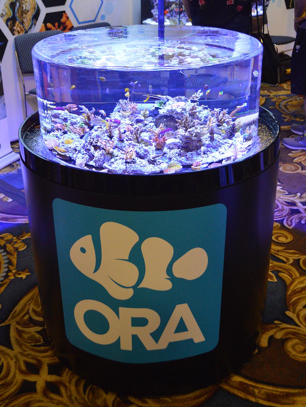 This Zero Edge is a perennial display by Oceans, Reefs and Aquariums (ORA).