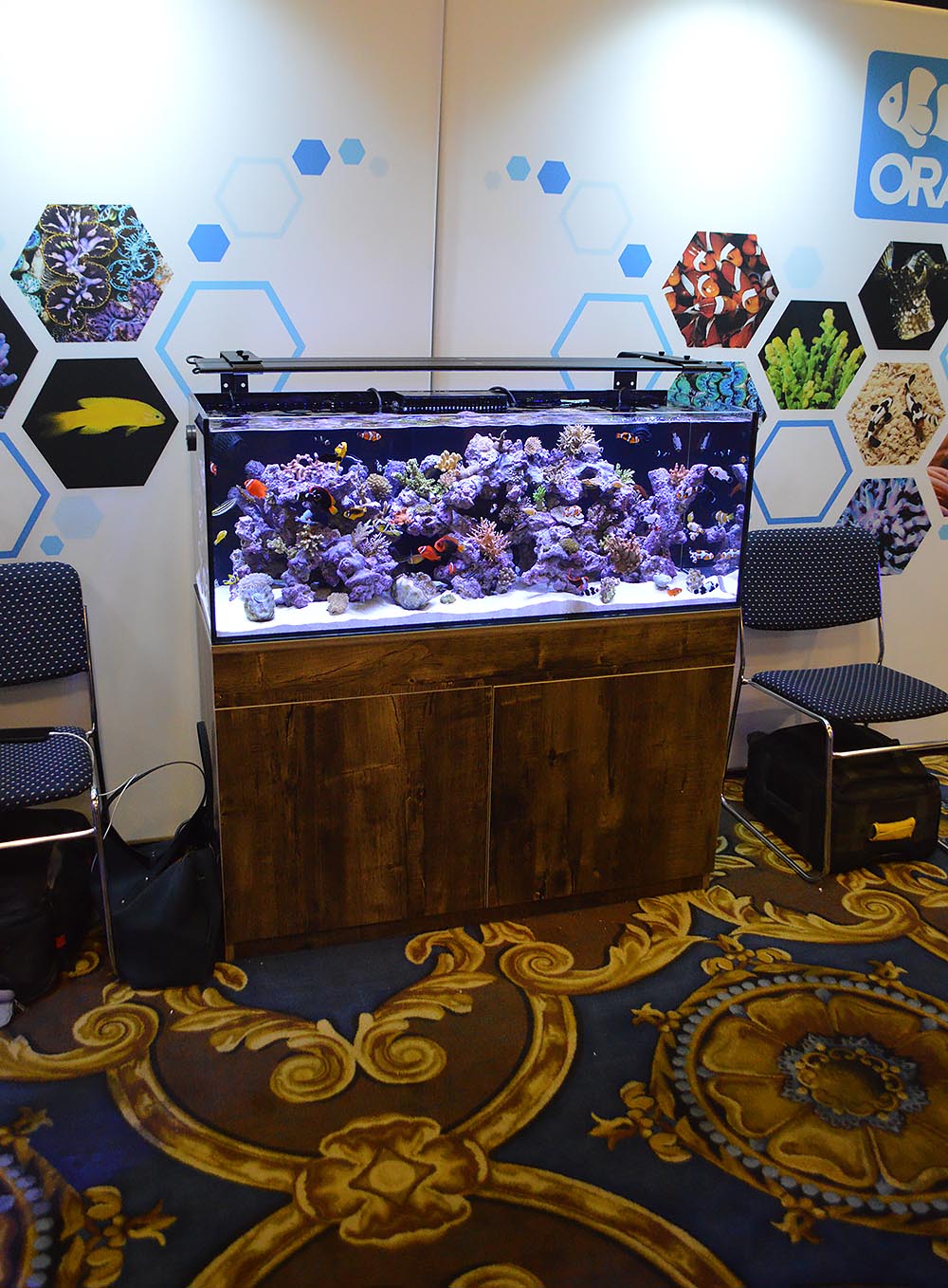 ORA's impressive display of cultured fish and coral would look fantastic in a home or office.