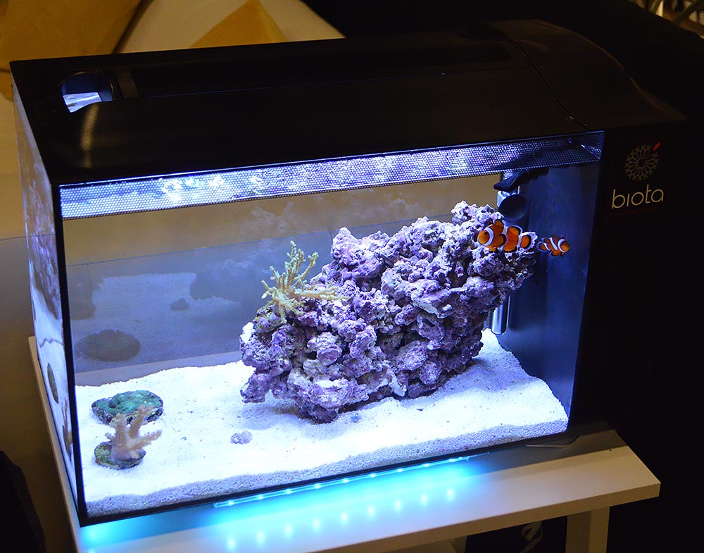 The typical all-in-one Biota Aquarium meant as an entry-level option for prospective marine aquarists.