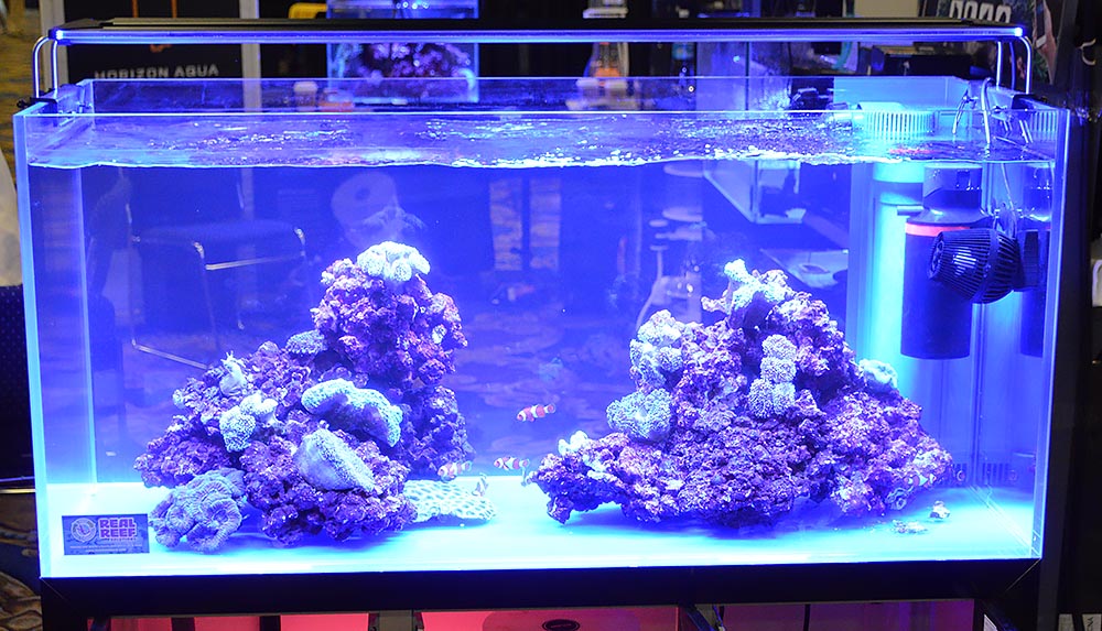 A mid-sized aquarium on display at the Ming Trading/Zetlight booth featured two bommies of Real Reef rock.