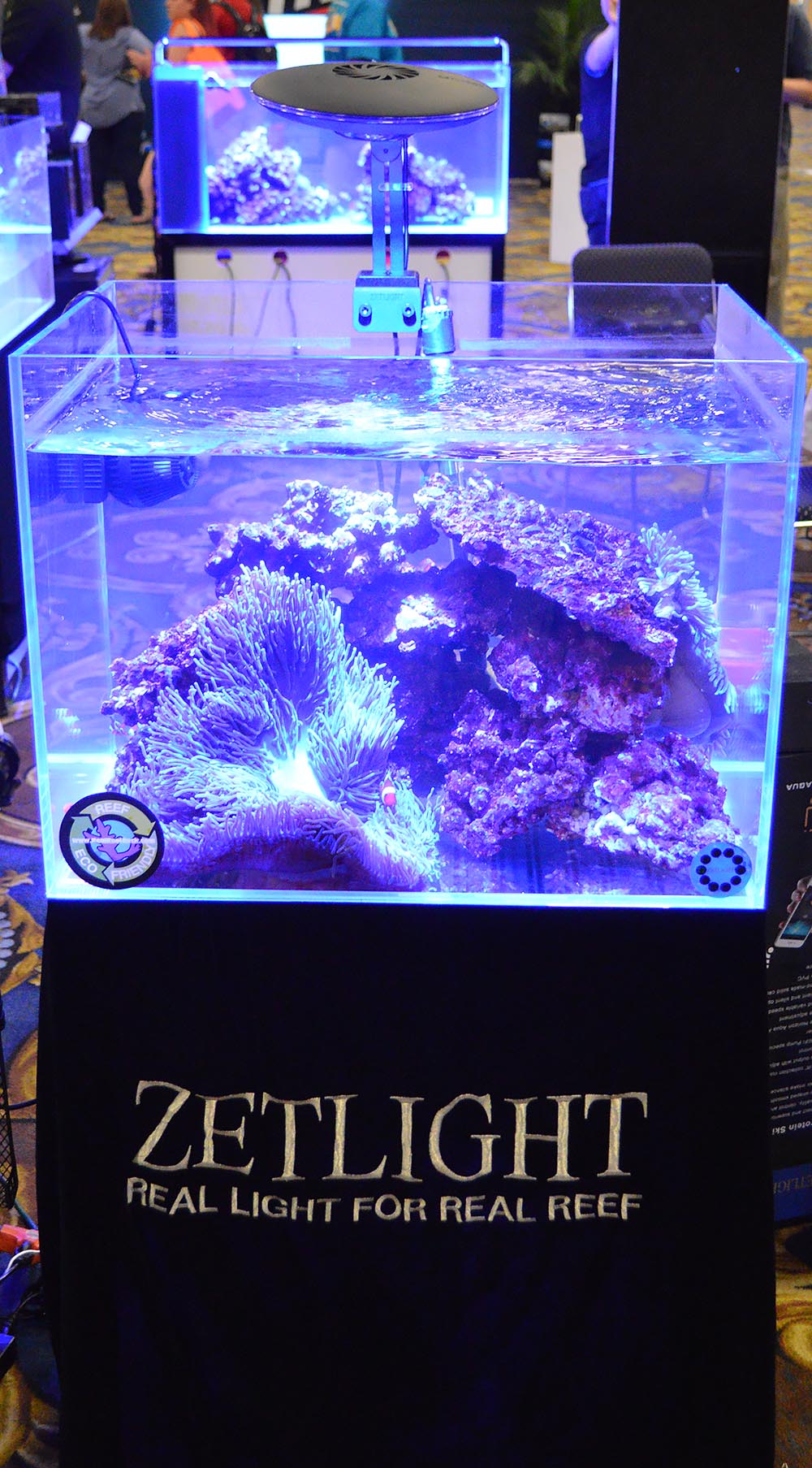Simple and effective - a clownfish and anemone dominate this modestly-sized aquarium display by Zetlight & Ming Trading.